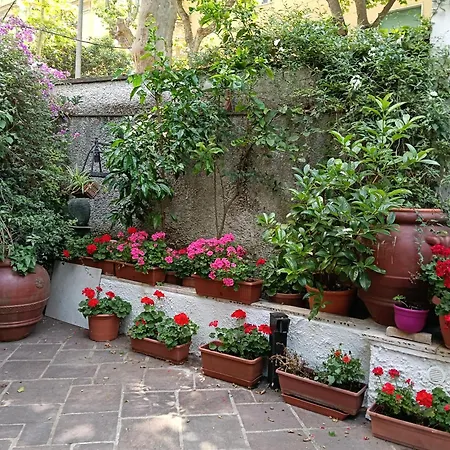 Casa Flavio Gianicolo 4* Rom